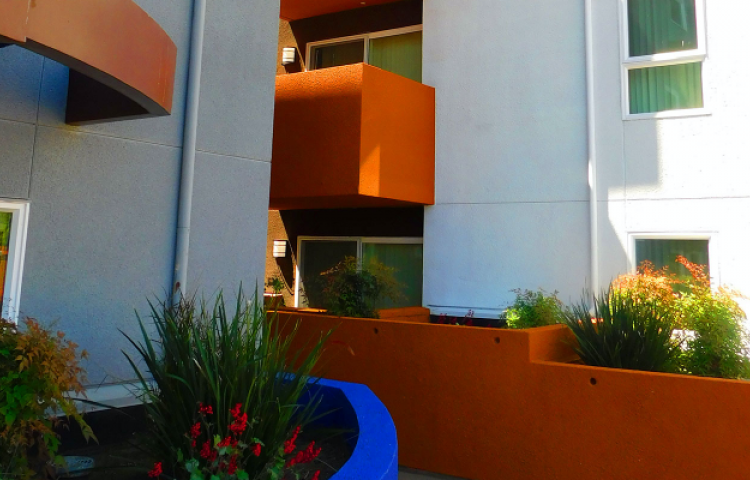 Project: Sol Y Luna
